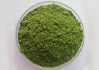 Ninguna verdura natural del moho pulveriza 100 el cadmio de Mesh Spinach Extract Powder 1.0ppm